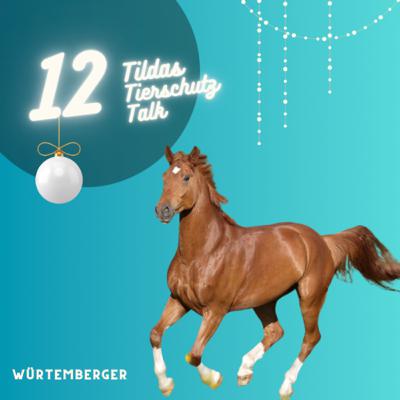 12. Türchen ✨