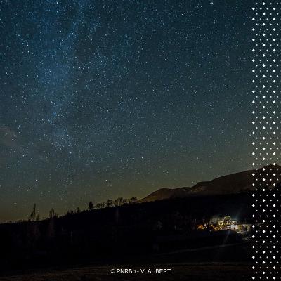 Sons D'ici - Episode 4 - La nuit dans le Parc