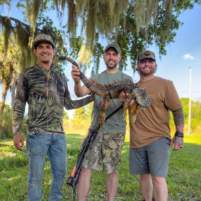 SWAMP PIGS