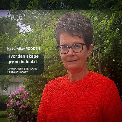 Hvordan skape grønn industri: Fra tømmerstokk til dyrefor