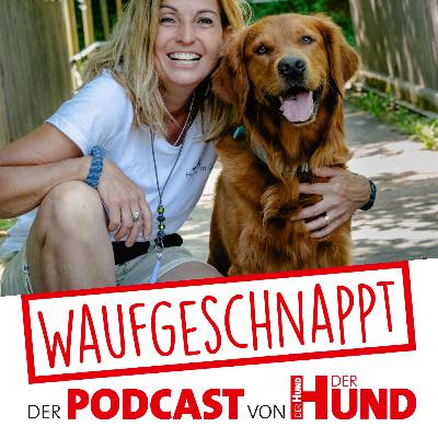 Tina Bründl - Fitness Loops