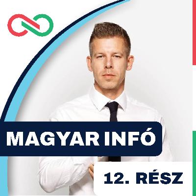 Tisza Párt - Magyar infó 12. - Magyar Péter Tisza Párt - Magyar infó 12. - Magyar Péter