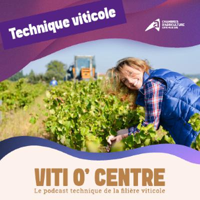 VITI O' CENTRE - Les voiles d’hivernage, un moyen de lutte efficace contre le risque de gel ?