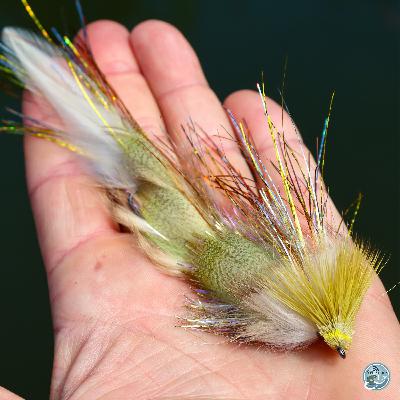 S7, Ep 78: Casting into Autumn: Tips and Tricks for Fall Fishing in East Tennessee