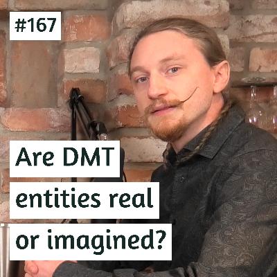 Are DMT entities real or imagined? | Einar Johan Moback | #167