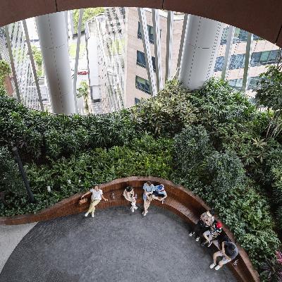 Singapur: Das Rezept für ein langes und gesundes Leben