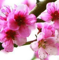 سوال دوم از کتاب ۱۰ سوال بی‌جواب دکتر سرگلزایی