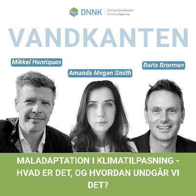 Maladaptation i klimatilpasningen – hvad er det, og hvordan undgår vi det?