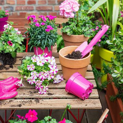 Mariana Marín: contribuir a la conversación