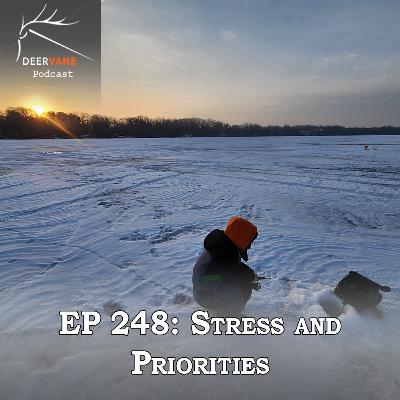 248: Priorities and Stress