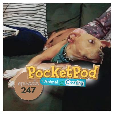 Animal Crossing #247 - The Tilly Episode