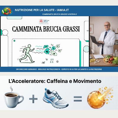 #128-26 CAMMINATA BRUCIA GRASSO VISCERALE #128-26 CAMMINATA BRUCIA GRASSO VISCERALE