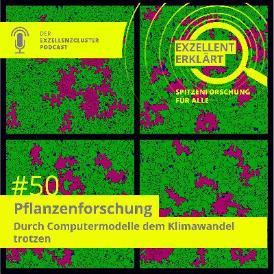 Pflanzenforschung: Durch Computermodelle dem Klimawandel trotzen