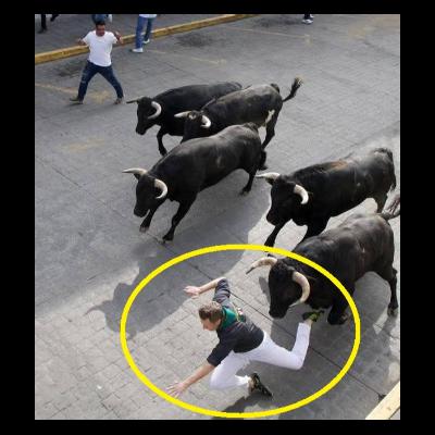 🟥 CIUDADANO ESTADUNIDENSE RESULTA LESIONADO DURANTE ENCIERRO DE TOROS TIPO PAMPLONA EN HUAMANTLA 🐂⚠️🏥 🟥 CIUDADANO ESTADUNIDENSE RESULTA LESIONADO DURANTE ENCIERRO DE TOROS TIPO PAMPLONA EN HUAMANTLA 🐂⚠️🏥