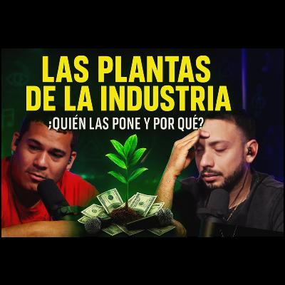 🌱 Las Plantas de la Industria y las Teorías Que Nadie Quiere Decir