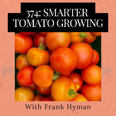 Episode 374: Smarter Tomato Growing