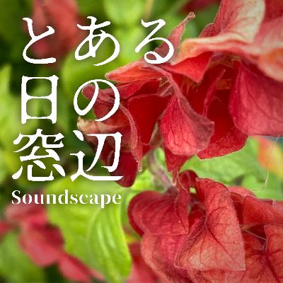 とある日の秋の気配(ep64)