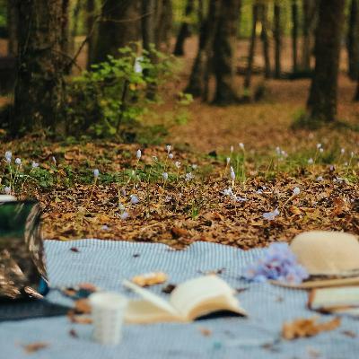 ZADOVOLjSTVO U TEKSTU - Piknik pored puta