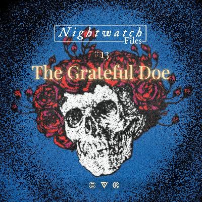 #13: The Unnamed Passenger - Inside the 20-Year Search for Grateful Doe