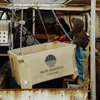 New Bedford Light's Will Sennott On Private Equity in New England's Fisheries