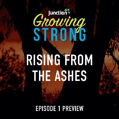 Preview: Rising from the ashes