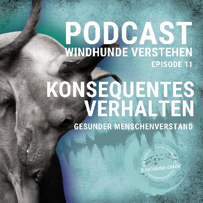 Konsequentes Verhalten Konsequentes Verhalten
