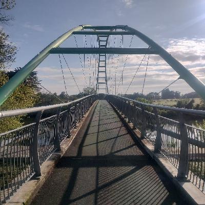 テ・アラロア歩き始めて、なんともう1ヶ月がたっとる！