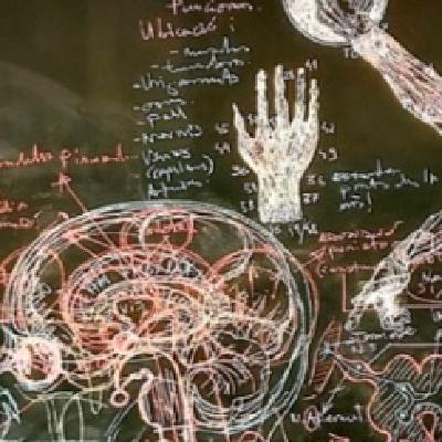 Pep Admetlla: “El nostre cos és un refugi temporal”