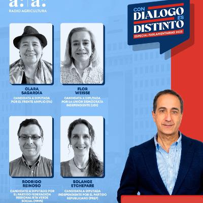 CDED Especial Parlamentarias 2025 | Distrito 21: Propuestas para la Región del Biobío