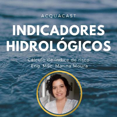 INDICADORES HIDROLÓGICOS