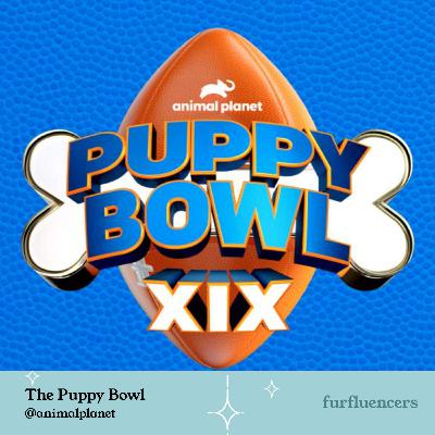 Meet the Official Referee of the Puppy Bowl