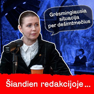 Žemaitaičio melai, Ukraina ir atsakymas klausimą, kada Lietuva galės apsiginti I Dovilė Šakalienė