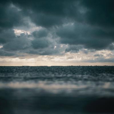 Navigating the Storm
