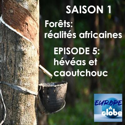 Forêts: réalités africaines, Episode 5: hévéas et caoutchouc