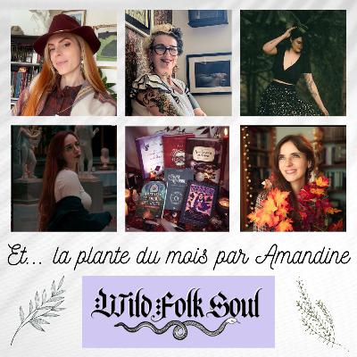 Sorcières et Autrices: le coven d'octobre Sorcières et Autrices: le coven d'octobre