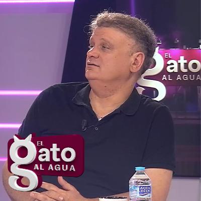 El Gato al Agua| 22/07/25