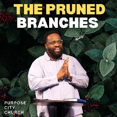 Self Control - The Pruned Branches | Juicy Fruit (Part 9) | Talaat McNeely Self Control - The Pruned Branches | Juicy Fruit (Part 9) | Talaat McNeely