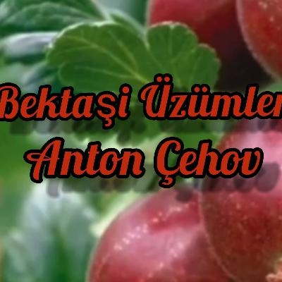 Bektaşi Üzümleri - Sesli Hikaye - Anton Çehov