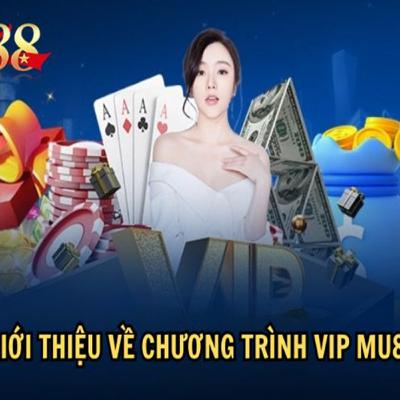Chương trình VIP MU88: Đặc Quyền Dành Riêng Cho Game Thủ Chương trình VIP MU88: Đặc Quyền Dành Riêng Cho Game Thủ