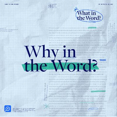 Why in the Word? | A Behind the Scenes Recap of Season 1 Why in the Word? | A Behind the Scenes Recap of Season 1