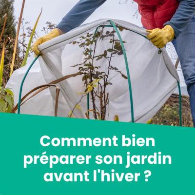 Préparer son jardin avant l'hiver : les bons gestes à adopter