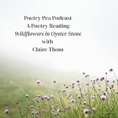 S8E46 Haiku from Andalusia: A Reading with Claire Thom of Wee Sparrow Press S8E46 Haiku from Andalusia: A Reading with Claire Thom of Wee Sparrow Press