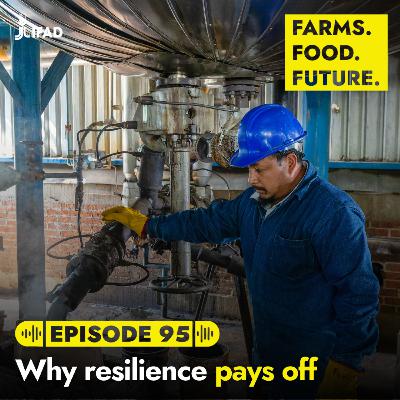 Why resilience pays off Why resilience pays off