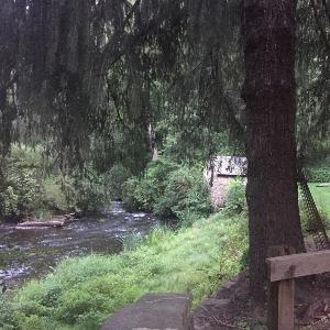 Ep. 1 - Truly Love the pain to coast through life to success