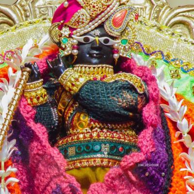 Vrindavan’s super cute hero “ RadhaRaman “