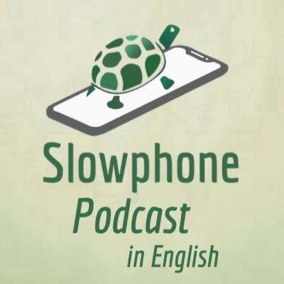 Slowphone Podcast #10 - II Brazilian Meeting of Electromagnetic Protection | Panel 9 - The Movements of Safe Technology in North America