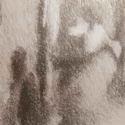 Leyenda 3 "El Duende"