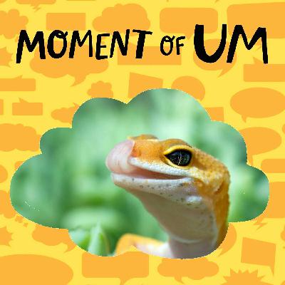 Do lizards smell with their tongues? Do lizards smell with their tongues?