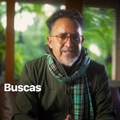 Buscas