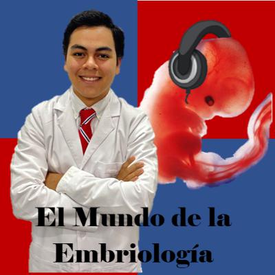 Sistema urogenital